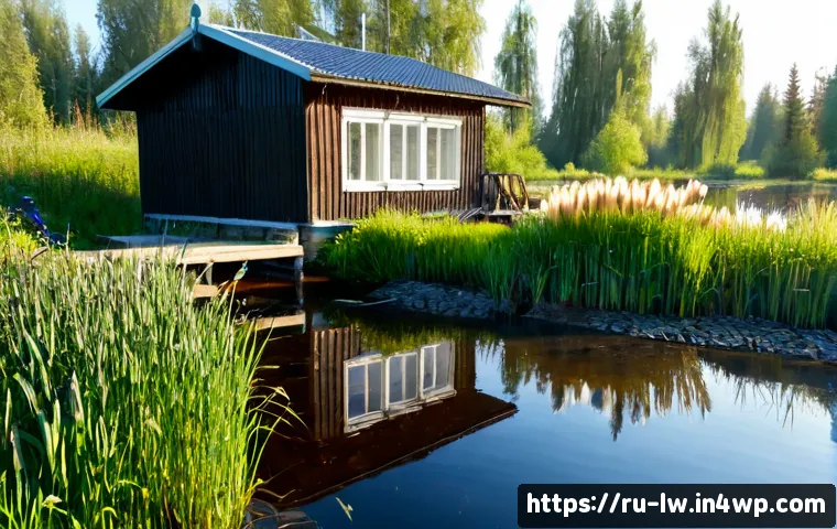 Home 17 자연형 물 정화 시스템과 물 순환 관리 - Photorealistic natural water purification system at a Russian countryside dacha, a clear stream flow...