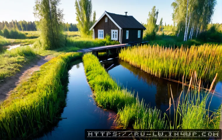 Home 17 자연형 물 정화 시스템을 통한 기후 변화 대응 - Photorealistic wide-angle view of a natural wetland water purification system beside a small Russian...
